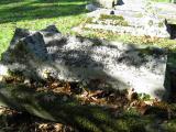 image of grave number 254768